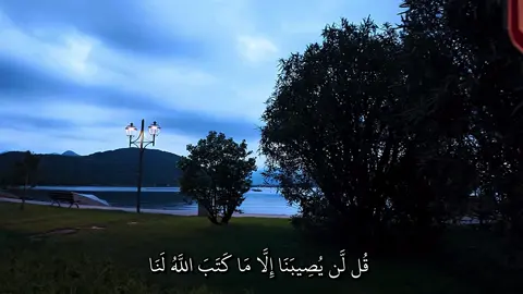 قُل لَّن يُصِيبَنَا إِلَّا مَا كَتَبَ اللَّهُ لَنَا ) ____________________________ سورة التوبة | ماهر المعيقلي  ____________________________ #quran_alkarim #quran #قران_كريم #تلاوة_خاشعة #ماهرالمعيقلي 