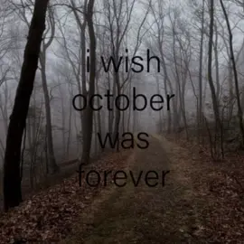what last october felt like #moodboard #october #autumn #gloomy #vibe 