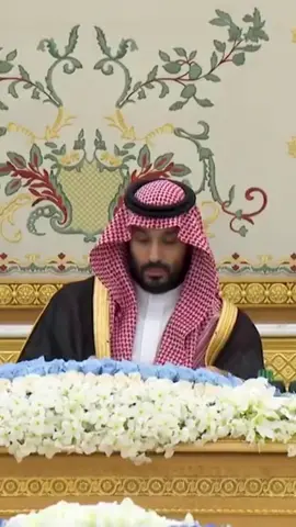 #محمد_بن_سلمان #السعوديه #MBS #ولي_العهد #vir 