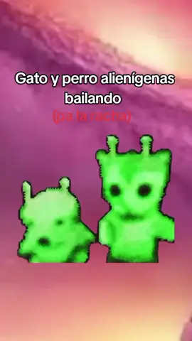 #Meme #palaracha🔥 #gatoalien #perroalienigena 