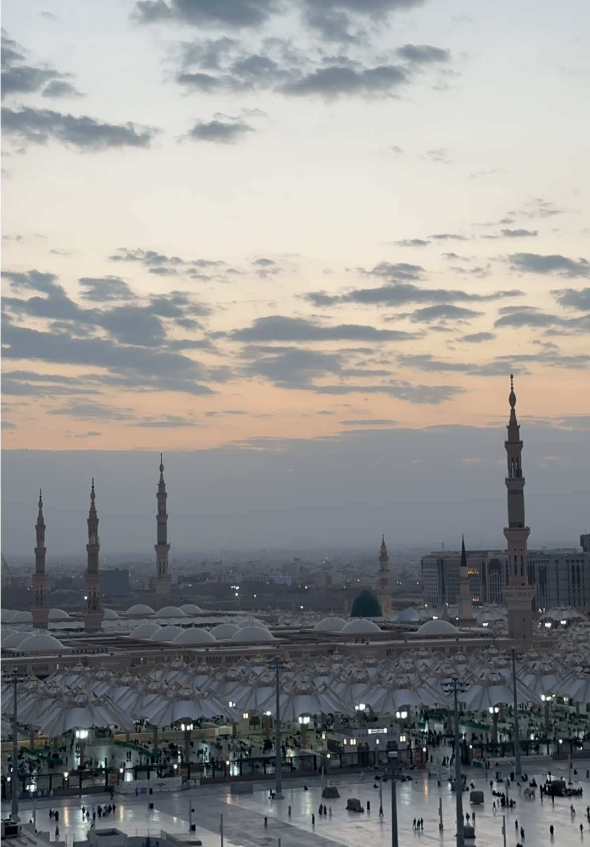 المدينة أجمل رحلة 💚 #المدينةالمنورة  #المسجد_النبوي  #ابراهيم_الكندري 