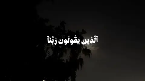 ﴿ الَّذِينَ يَقُولُونَ رَبَّنَا إِنَّنَا آمَنَّا ﴾ [ سورة آل عمران ] #ياسر_الدوسري #quran #islam #islamic_video #تلاوة_خاشعة 