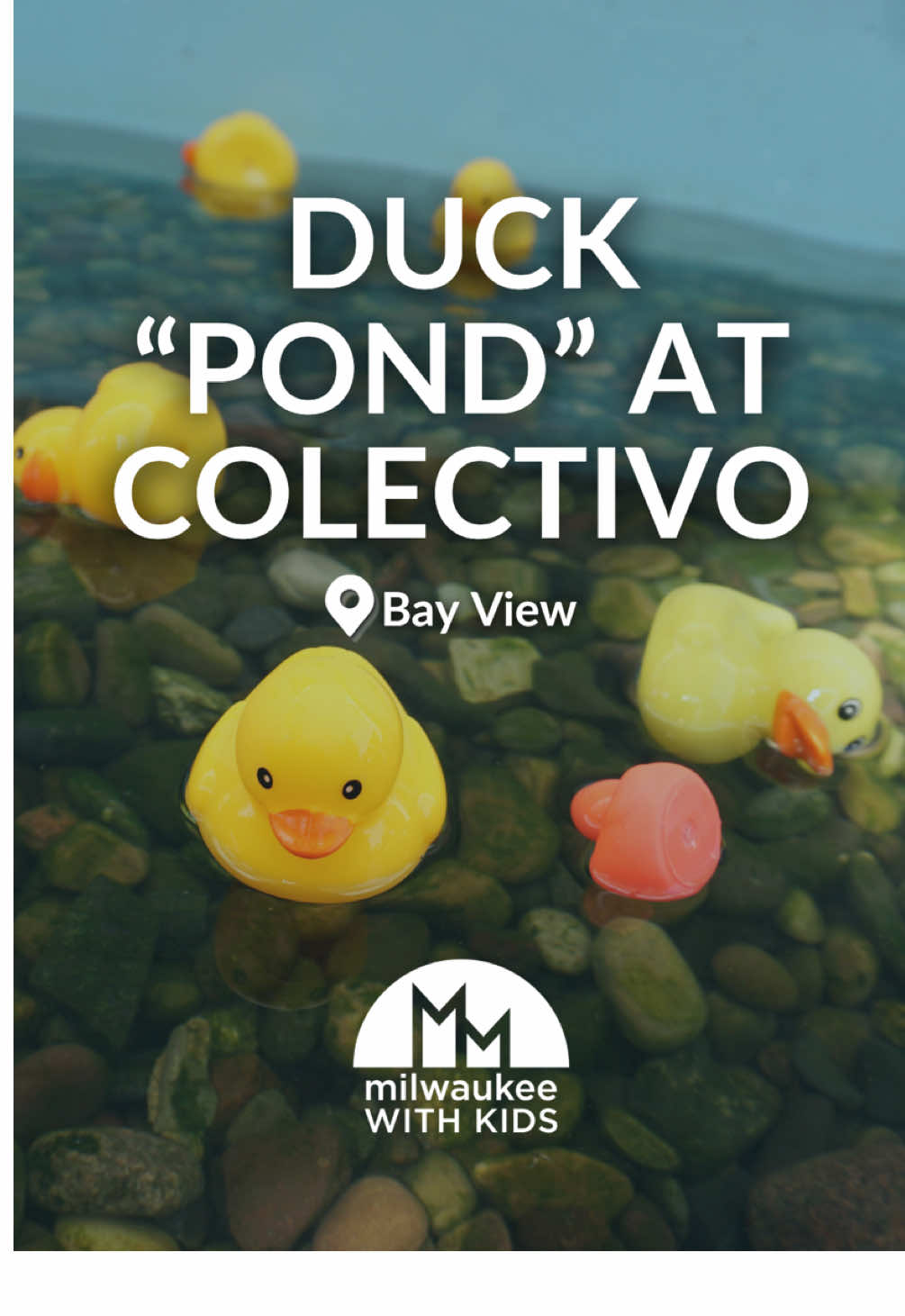 This Milwaukee café has a rubber duck pond! 🦆 Colectivo Coffee Bay View has brought their rubber duck pond back from hibernation. Now, your little one can race rubber ducks in the pond on the side of the café! They'll enjoy letting the duck float down the 