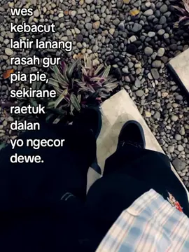 #fyp #sajakusangkelaspekerja☘️☘️ #tcatt🍀🍀 