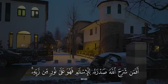 سورة #الزمر | #احمد_عبدالرزاق_نصر 
