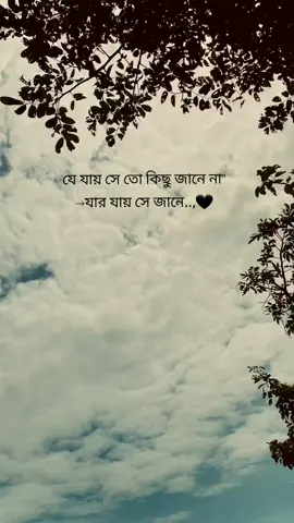 যে যায় সে তো কিছু জানে না যার যায় সে জানে..,,!#foryou #tiktok 