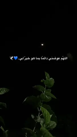 🩶..#يارب #يارب_العالمين🙏 #fyp #viral #اكسبلور 