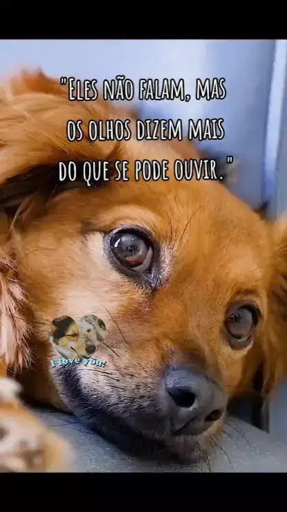 #Respeito #melhoresamigos #alegriaquecontagia 