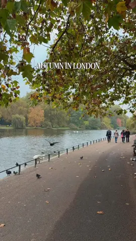 Autumn in London 🍂🤎
