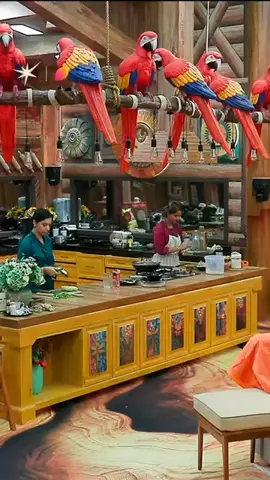 #biggbossseason19 