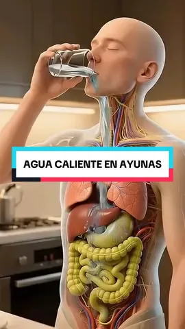 💧 ¿Crees que tu café de Starbucks te despierta? Estás loco. Prueba agua caliente en ayunas 3 días y mira lo que pasa: 1️⃣ Tripas en modo limpieza: hígado, riñones e intestinos trabajando como yarderos en domingo. 2️⃣ Panza baja: metabolismo caliente, grasa quemándose como Walmart en Black Friday. 3️⃣ Cabeza ligera: cero presión, despiertas humano y no zombie madreado. 4️⃣ Estómago en paz: sin gases ni pedos incómodos. 5️⃣ Piel viva: color natural, ojeras desaparecen. 👉 Comenta AGUA y te envío GRATIS mi ebook con +200 remedios naturales (solo hoy). #cafe #salud #consejos 