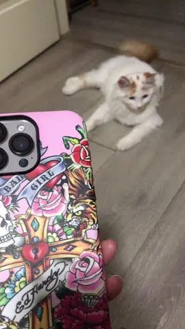 #iphone17 #phonecase #cute #protection 