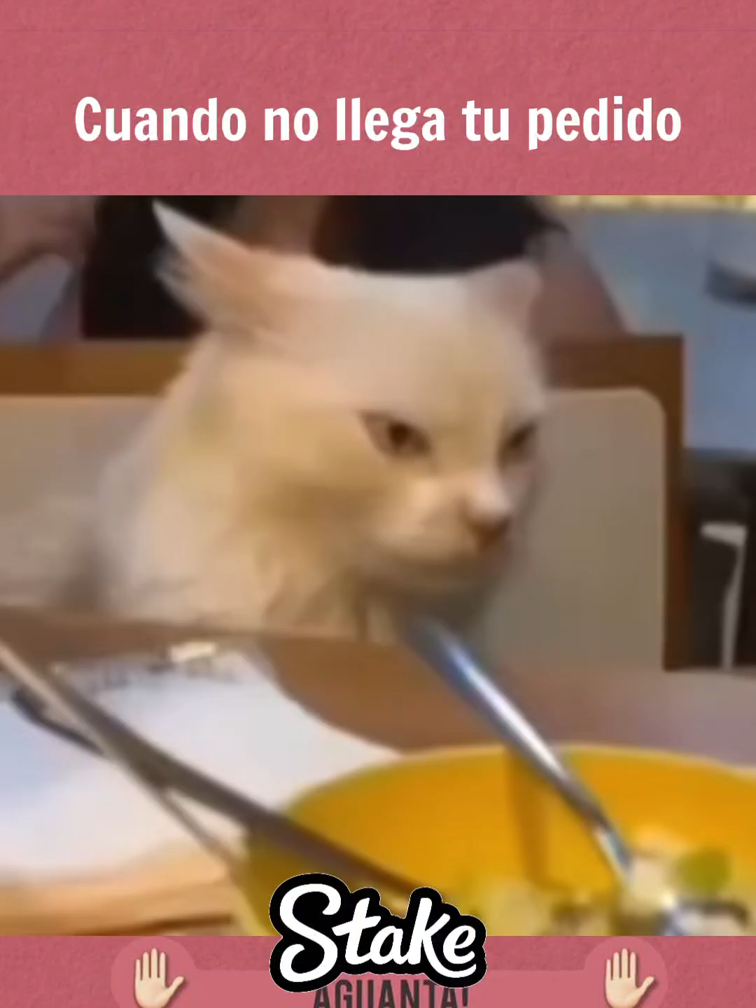 Cuando no llega tu pedido