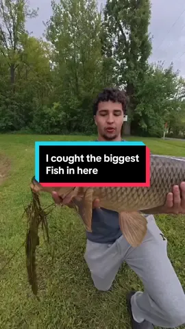 I caught the biggest fish in the pond #fishing #fishingvideos 