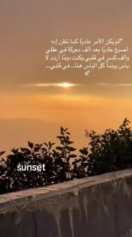 #الباحه_الجنوب_اكسبلور_تصويري📸♥️ #sunset 