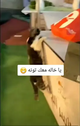 #في هذا اليوم #🤪 #oopp597 