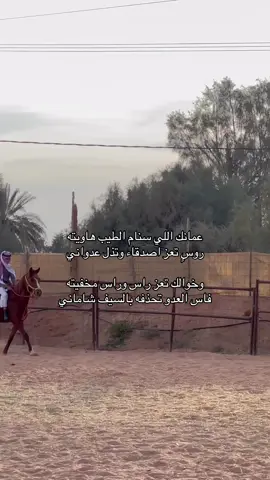 وانا خويي لا خاواني ماخليته.. #مهنا_العتيبي #خيل_وخياله🐎 #حايل #راقت_لــي🕊️🖤 
