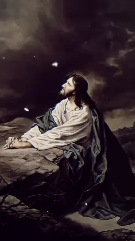 Anima Christi - Latim | Português  . #catolicos #cantogregoriano #jesus #cristo #latim 