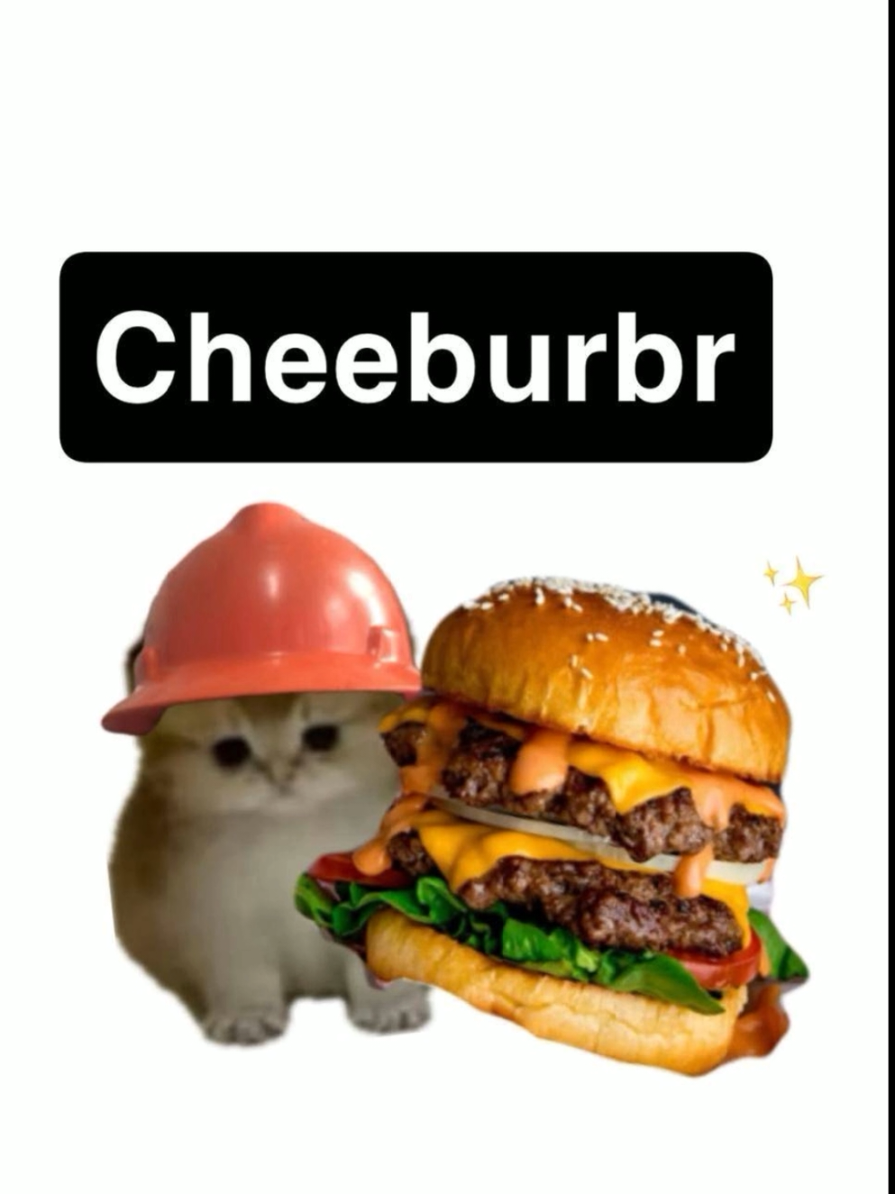 fugg it...  @CatsWithHardHats 