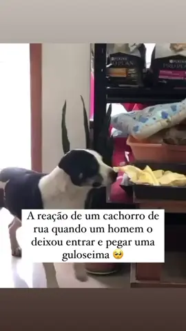 🐶 ❤️ Pra quem não tem nada, uma guloseima é tudo de bom! 😋 . #cachorrinho #guloseima #doguinho #pets 