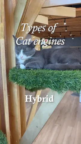 which cats engine sounds the best? 🥰