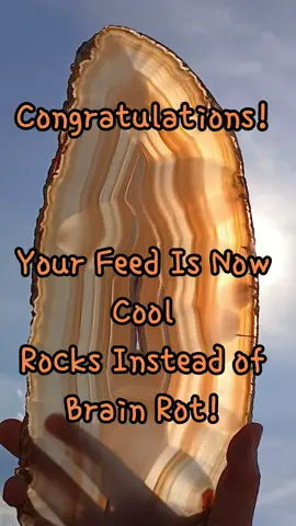 Brain Rot can grab the best of us, but here are some cool rocks to bless your feed and keep the Rot at bay! 