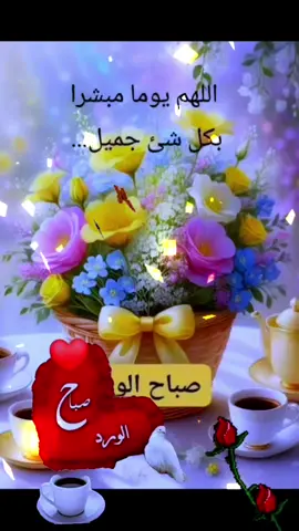اللهم في صباح يوم الاربعاء#صباح_الخير #دعاء_جميل  #صباحكم_معطر_بذكر_الله #القرآن_والسنة #دعاء_الصباح 
