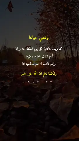 #وتمضي_حياتنا_كخريف_هادء_كل_يوم_تسقط_ورقة #اقتباسات_عبارات_خواطر🖤🦋❤️ #ادعية_اسلامية_تريح_القلب #بدون_موسيقي 