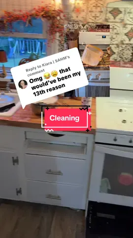 Replying to @Kiara | SAHM  let’s try to find the silver lining. I have amazing cleaning products all from the TikTok Shop. ##CleanTok##cleaning##cleanwithme##cleaninghacks##cleaningmotivation@@Scrub Daddy@@House of Fab@y@yanding-shop