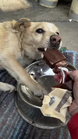 Mi dulce estrellita🤍