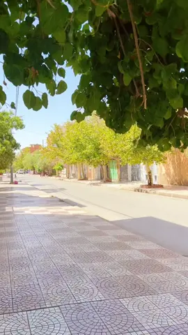 #صبرة ‏#viral #fyp #foryou #foryoupage #explore #trending #trend #viralvideo #tiktoktrend #tiktok #الجزائر_تونس_المغرب  #تونس #الجزائر  🇩🇿🇩🇿🇩🇿 #ترند #ضحك #فيديوهات #مضحك #viral #trend #explore #فيديو #تيكتوك #tiktokviral #viral #fyp #trending #foryou #explore #tiktok #tiktoktrend #fypシ #viralvideo