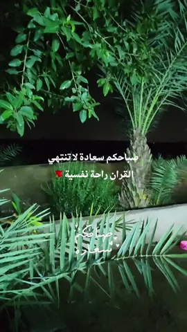 #القران_الكريم_راحه_نفسية😍🕋 #جازان_الحب_الجنوب_صبيا_بيش_جنوبيات_مكة_أثوبيا_أندونيسيا_السودان_الصوما #اليمن🇾🇪المملكة🇸🇦_عمان🇴🇲_الاردن🇯🇴ليبيا🇱🇾_ #الإمارات_العربية_المتحدة🇦🇪_دبي_أبوظبي_باكستان_الهند_الصومال_KSA #تركيا_اسطنبول_العراق_سوريا_مصر 