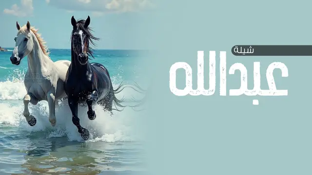 #شيلة_عبدالله #مهنا_العتيبي_صوت_الجزيره_اكسبلور #شيلات_مهنا_العتيبي #عبدالله #تنفيذ_حسب_الطلب 