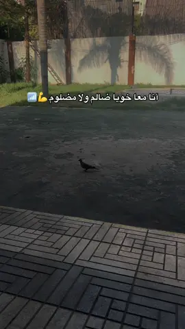 #fyp #شرات_و_معاني_تخليك_تعاني #فرنسا🇨🇵_بلجيكا🇧🇪_المانيا🇩🇪_اسبانيا🇪🇸 #tiktok #fyppppppppppppppppppppppp 