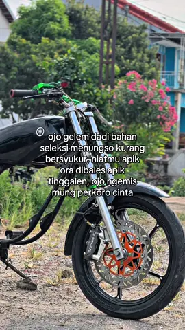 🤙🏻