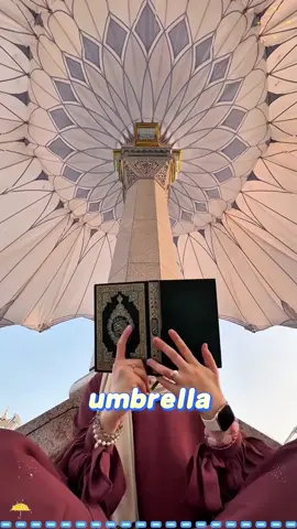 The largest umbrella in the world #tiktok #fyp #Love #foryoupage 