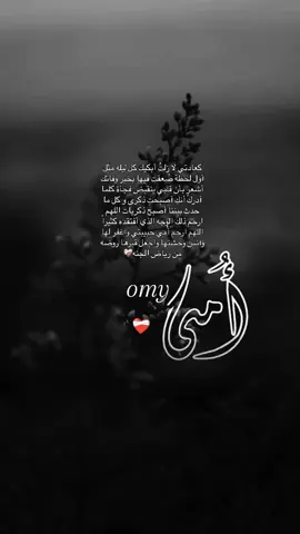 #امـــــ🖤ـــــي 