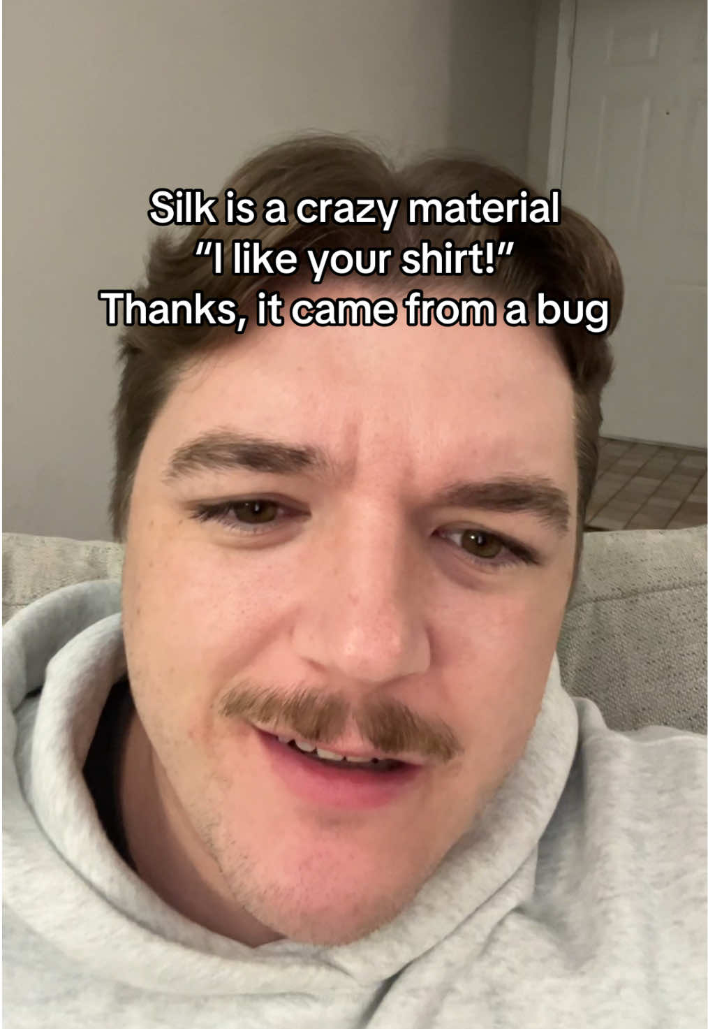 How is silk made? #silk #bugs #abug 