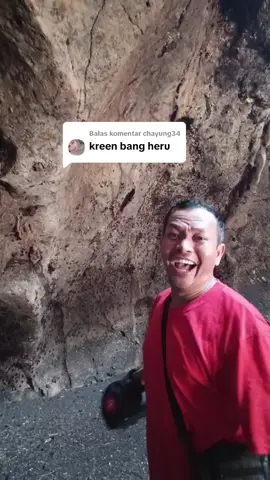 Membalas @chayung34 🕺🕺🕺 #bollywood #songs 