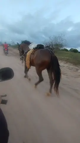 esse sabe o caminho de casa #fyppppppppppppppppppppppp #cavalgada #cavalo #xandaviao #forro 