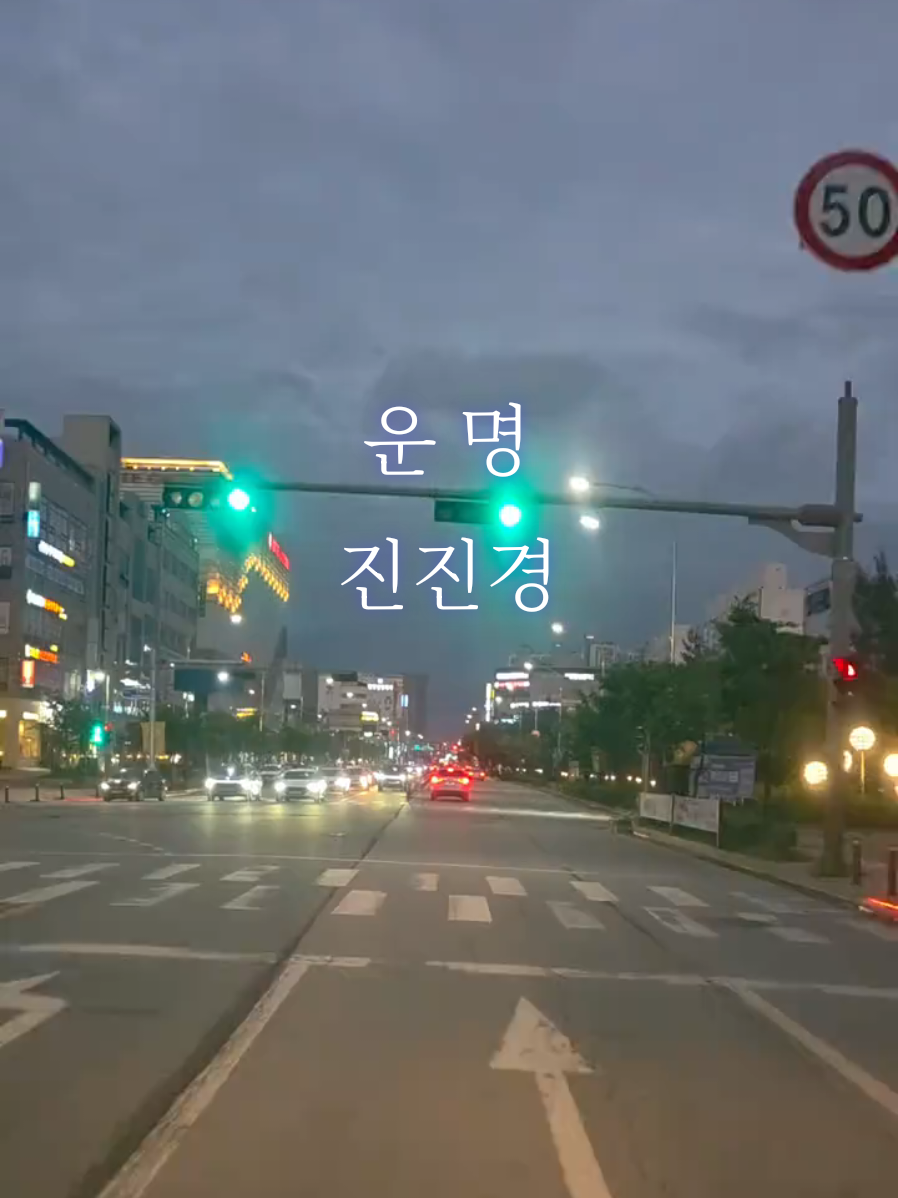 한국에 와본적이 있나요?  다음 영상은 🇮🇩 🇪🇸 언어로 함께합니다 #운명  #fullhouse  #ost  #진진경 