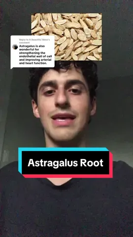 Replying to @A Beautiful Mess Astragalus root is a powerful herb with healing properties for the kidney and liver! What herbs do you like to use to make herbal tinctures? #liver #kidneyhealth #holistic #herbalhealth #herbalhealing 