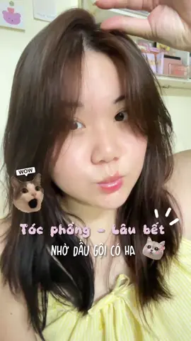 Để tóc phồng lâu bết đi học hay đi làm 2 3 ngày cũng dễ thui mà #qkskincare #haircare #tocphonglaubet #chamtockhoahoc #hợptáccùnglorealparis 