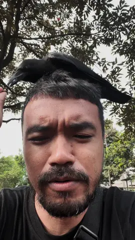 @Satwa Sakti 