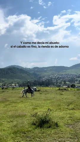 #michoacan #caballostiktok #horsegirl #caballosbailadores #michoacana🇲🇽🥑🐓 