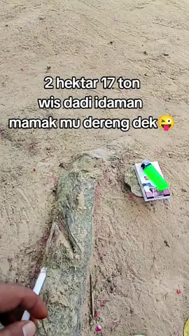 pie dek😜 #petaniindonesia🇮🇩🇮🇩🇮🇩🌿🌿 #fyppppppppppppppppppppppp #semuaorang #tiktok #fypシ 