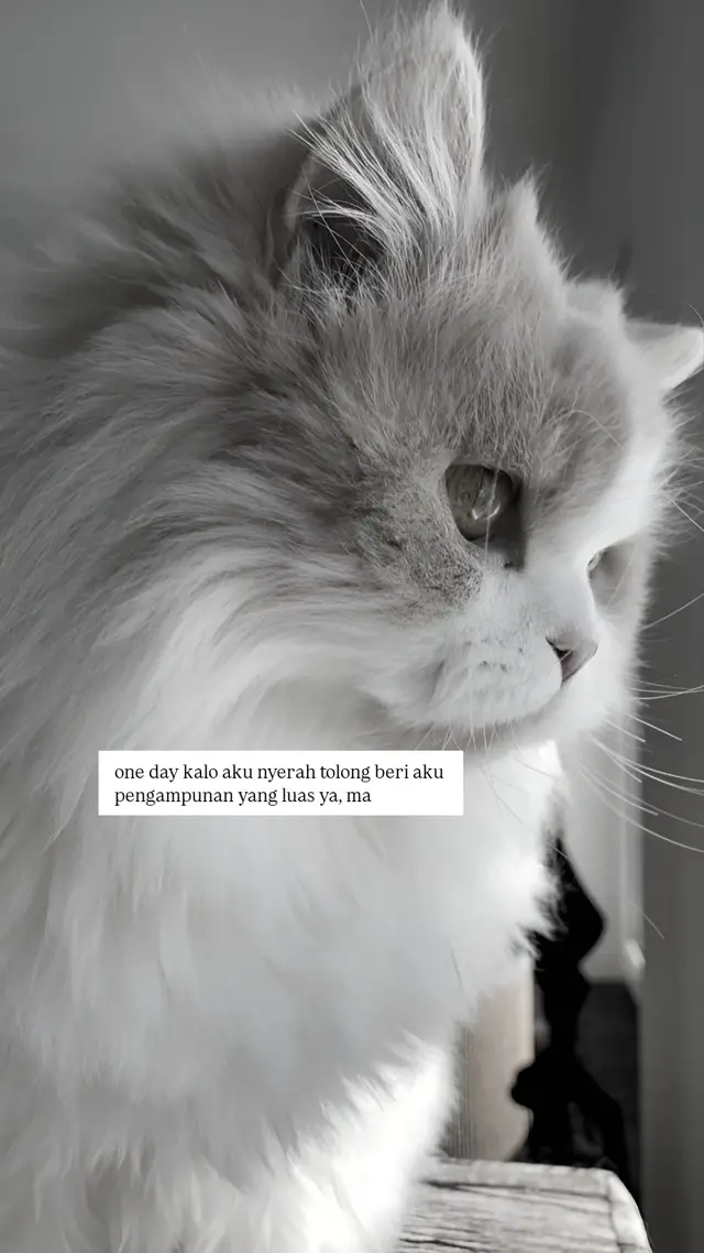 #4u #sadstory #fyp 