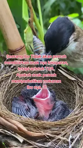 Kasih Ibu #ingatibu #ibuyangbaik