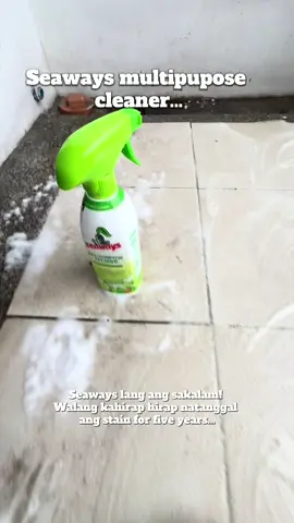 Kayo na po ang humusga. #seawaysmultipurposecleaner #seaways #mustbuy