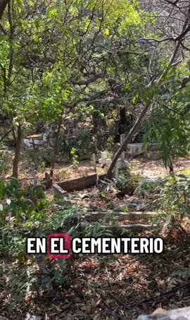 La tumba “milagrosa” de un joven de 18 años #MisteriosDeGuayaquil #CementerioGeneral #LeyendasUrbanas #HistoriasDeMiedo #TikTokMisterio